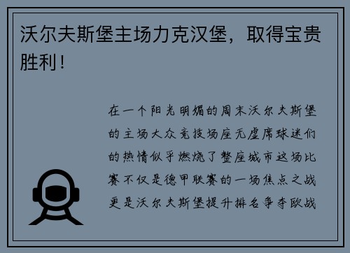 沃尔夫斯堡主场力克汉堡，取得宝贵胜利！